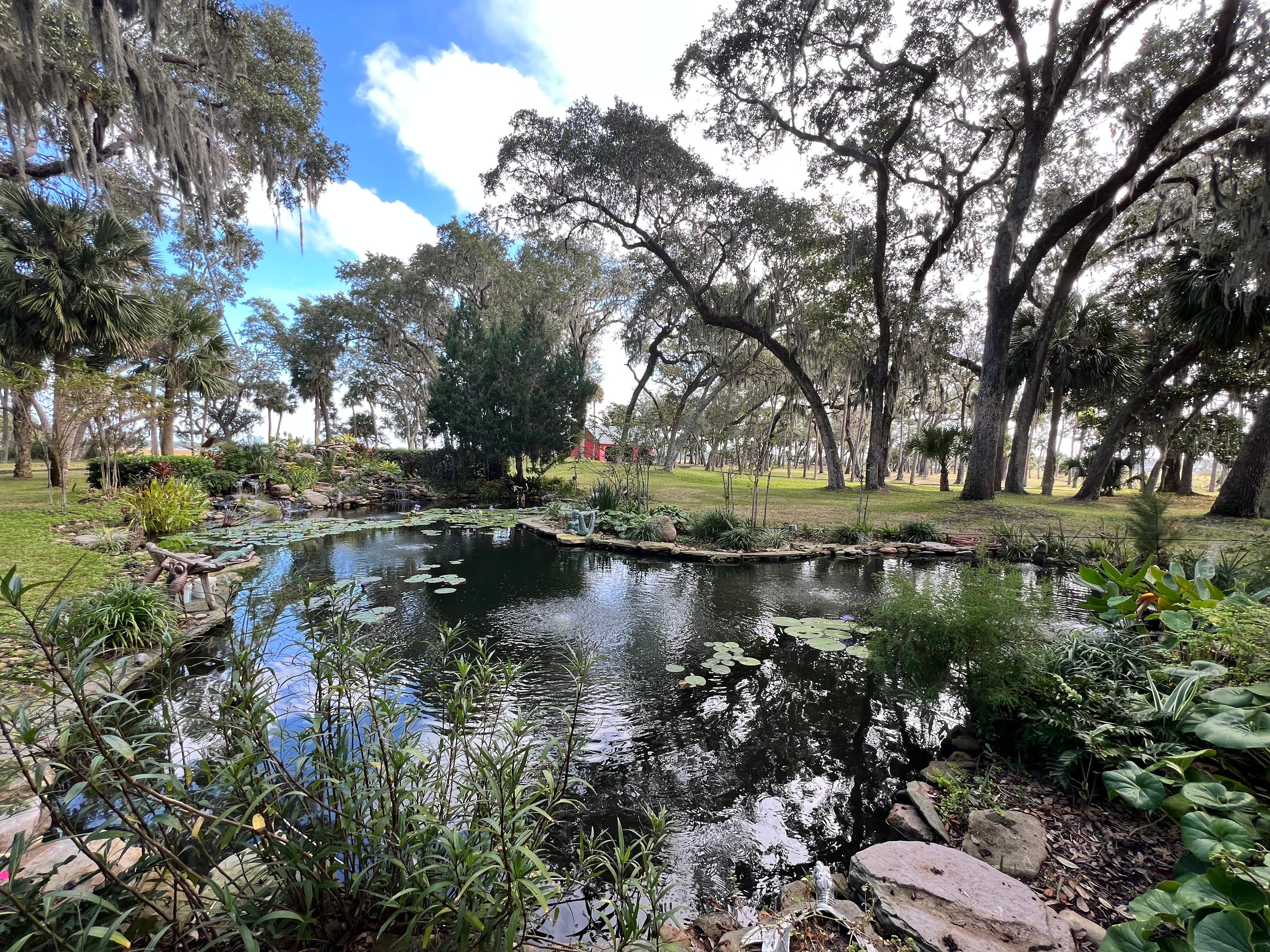 Pond on the island 