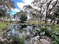 Pond on the island