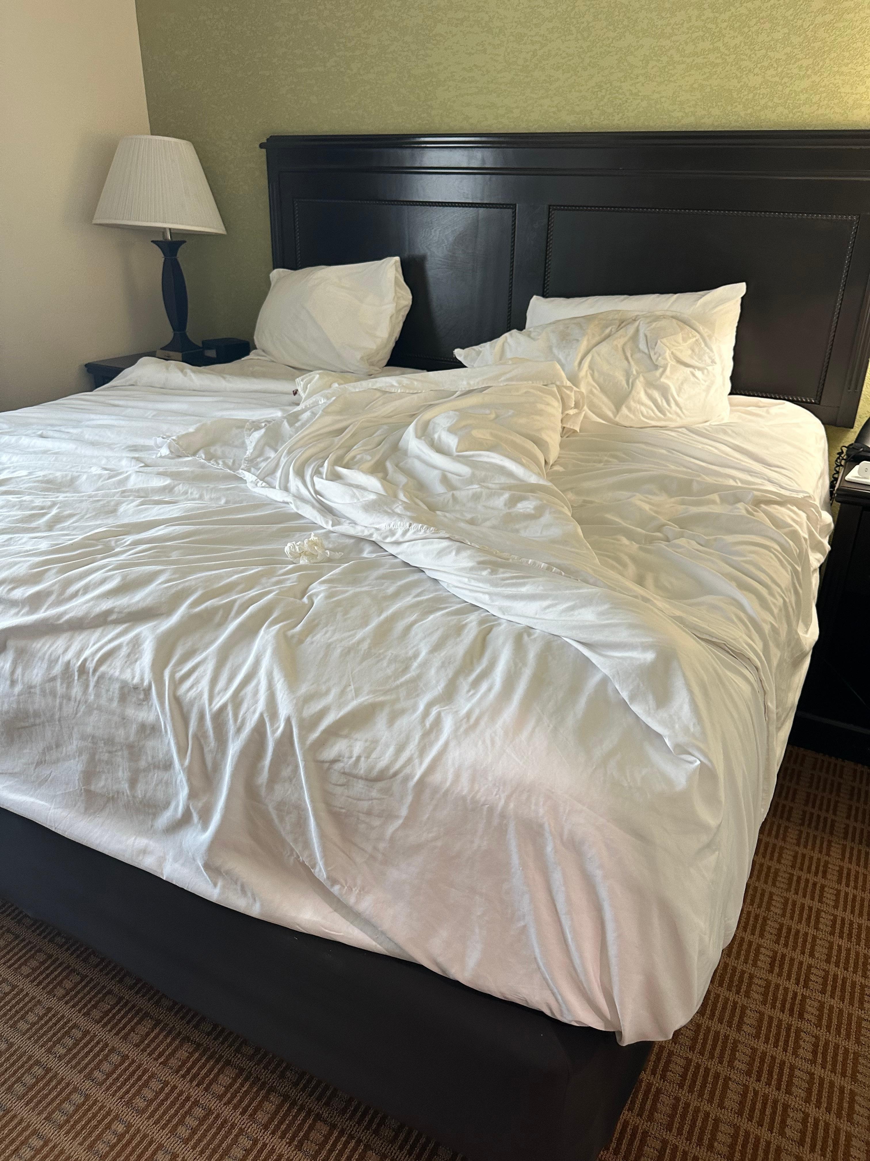 Never got my room clean I was there for 6 nights 7 days