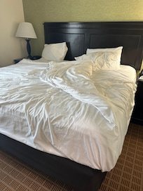 Never got my room clean I was there for 6 nights 7 days