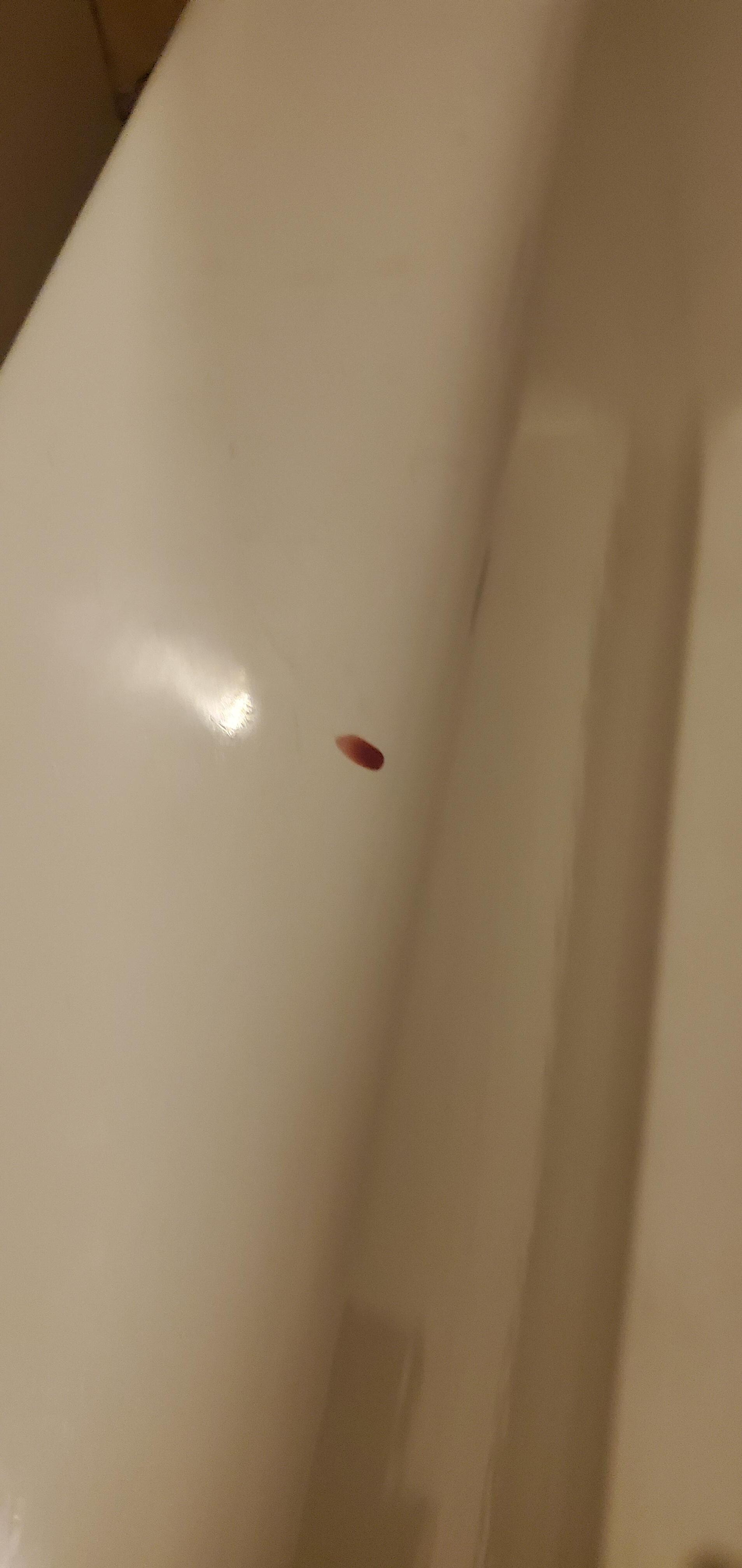 Blood drip on the bath tub