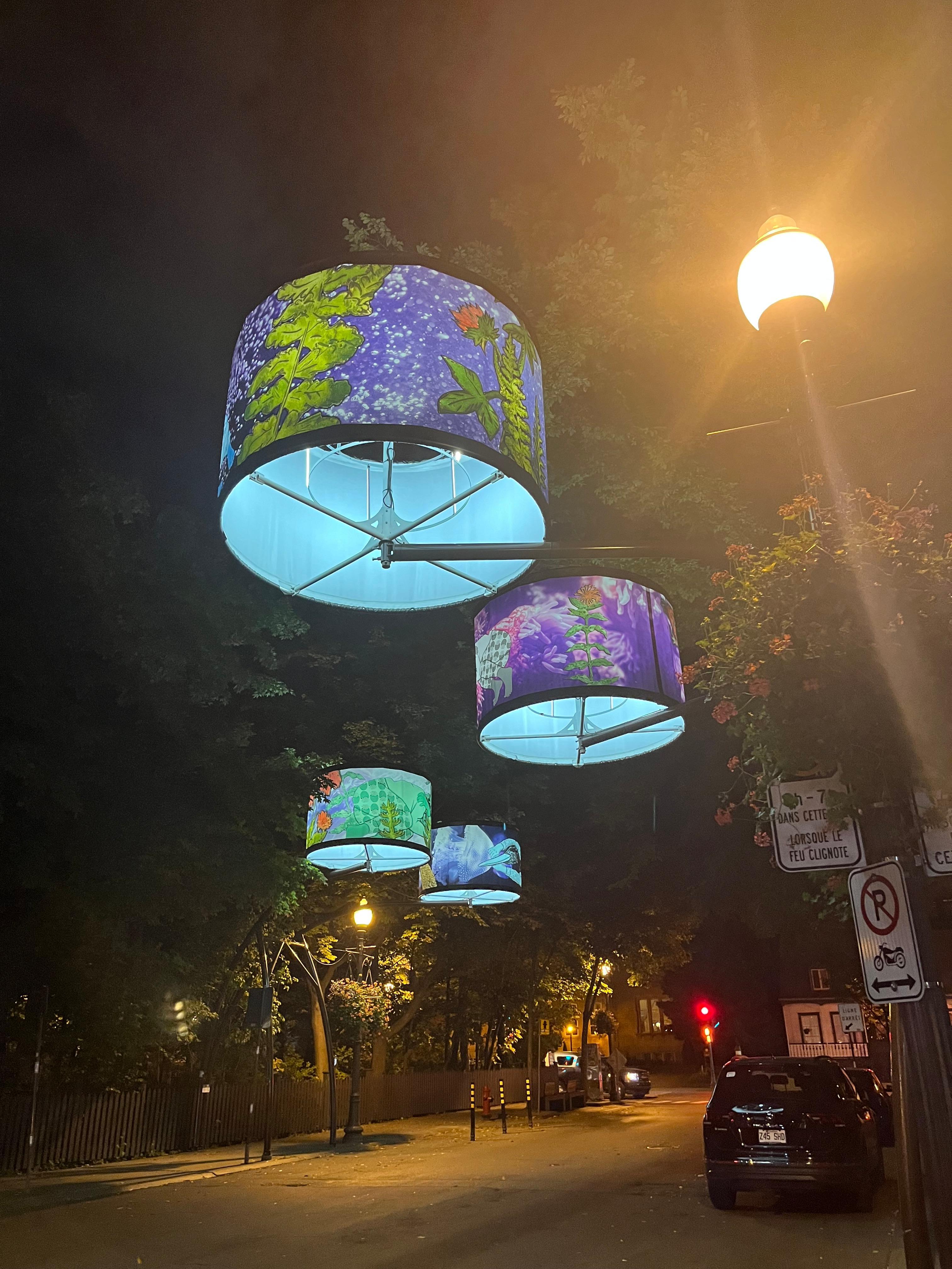 Beautiful lanterns on Cartier St.