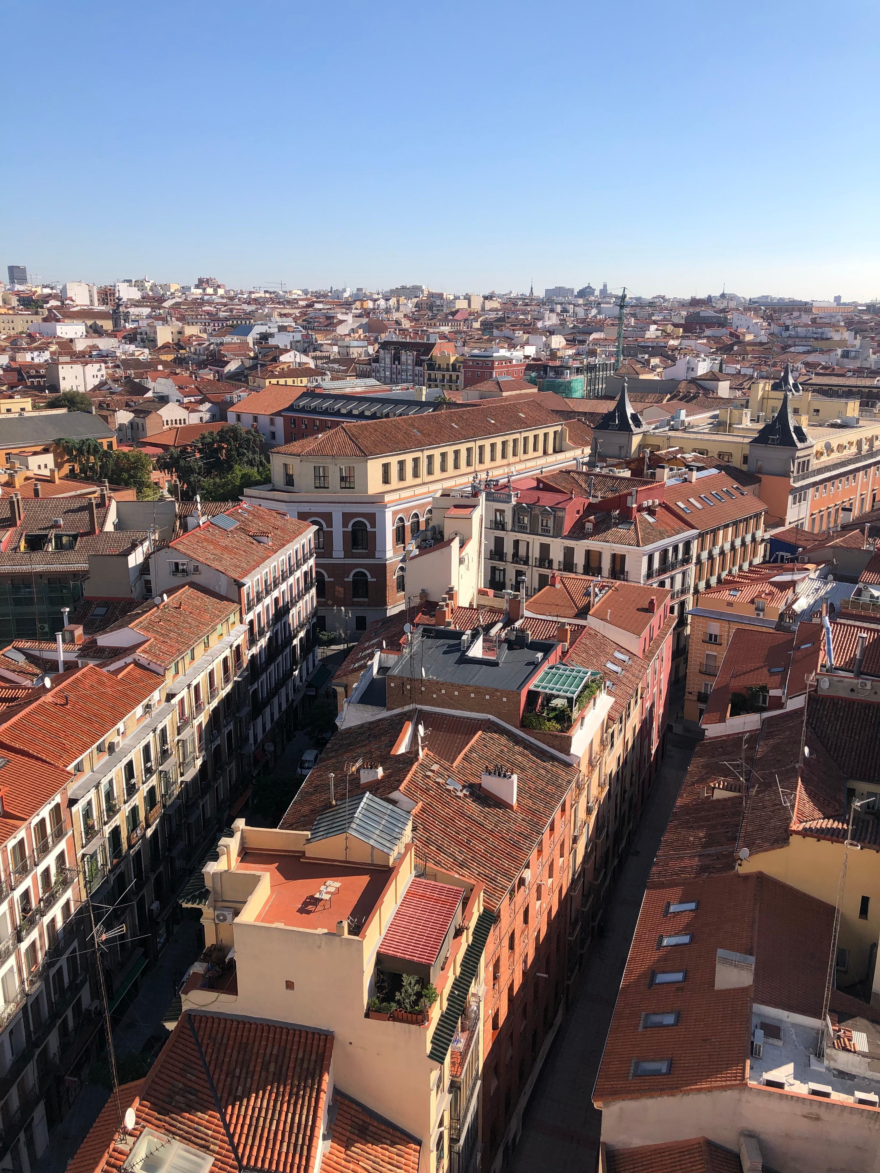 Roof Terrace