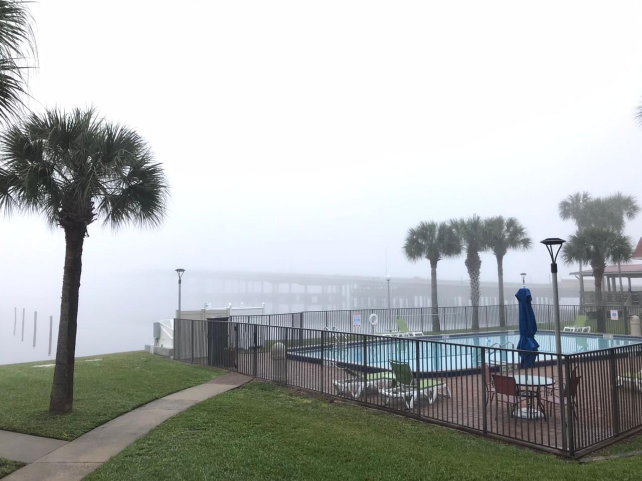 霧のセントジョンズリバー