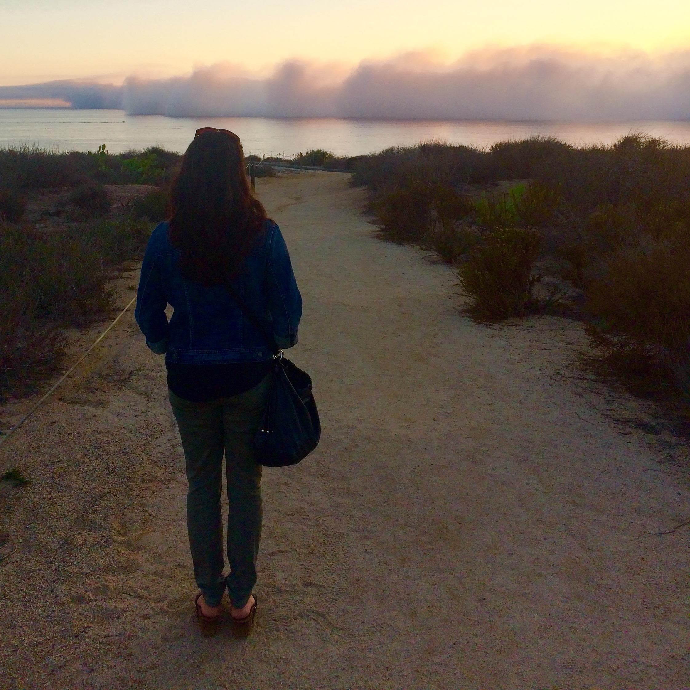 Fog rolling in at Crystal Cove