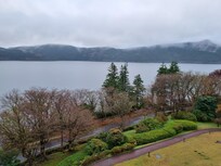 The garden