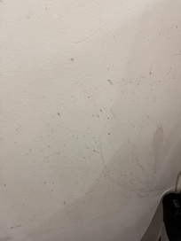 Hygiene nicht vorhanden