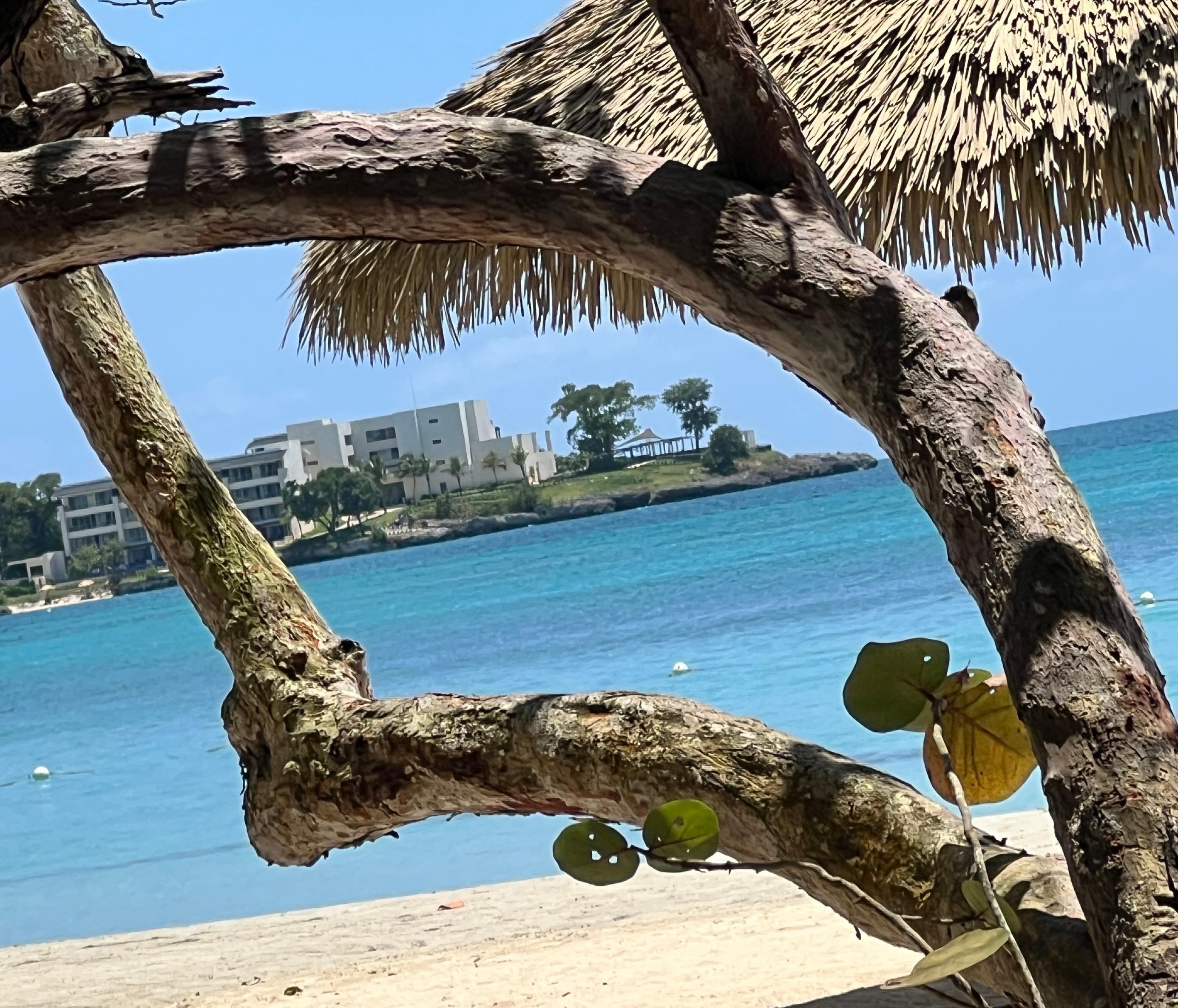 Beach view