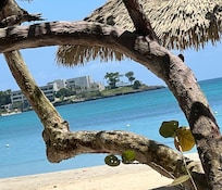 Beach view