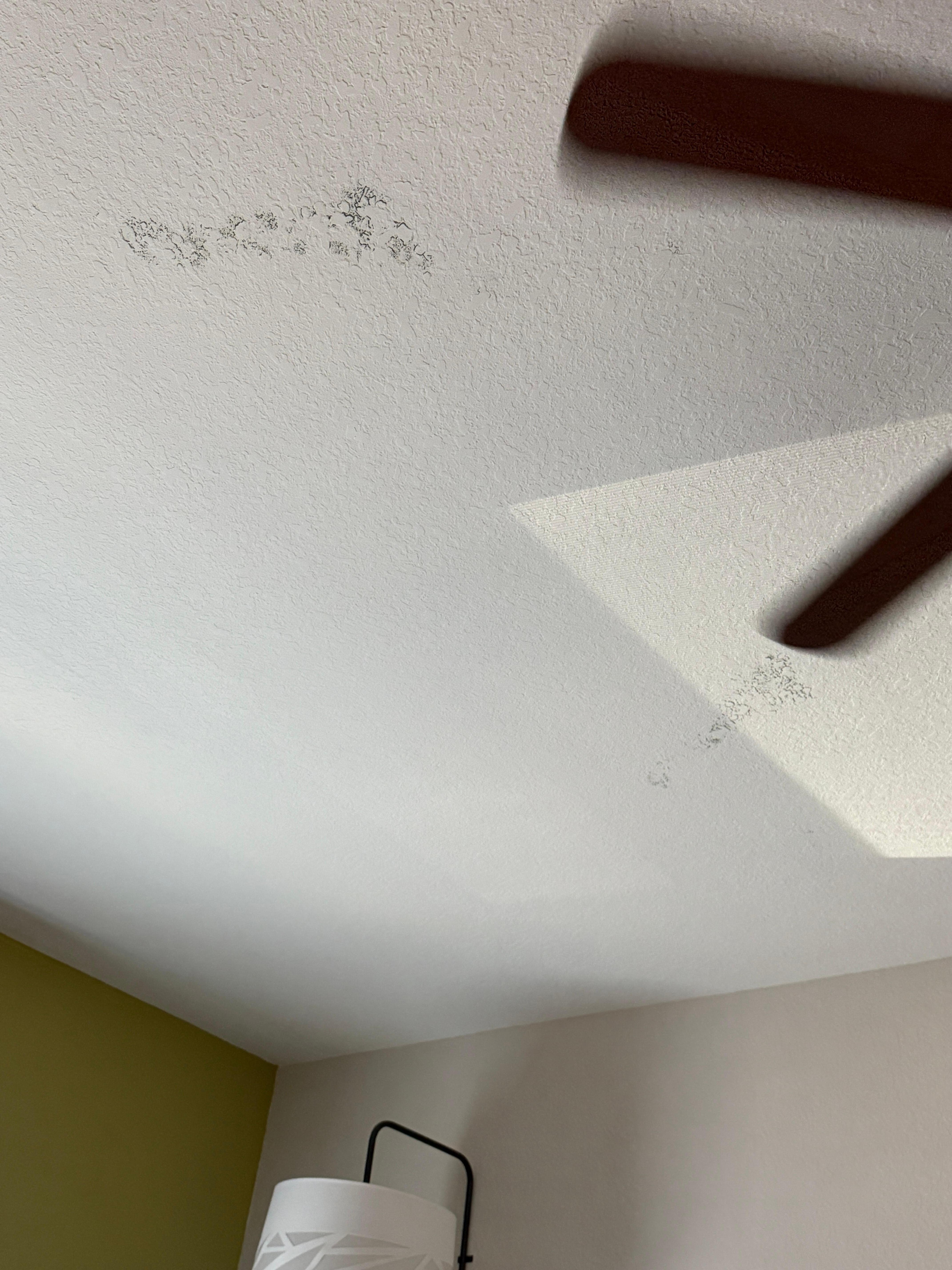 Mold!!