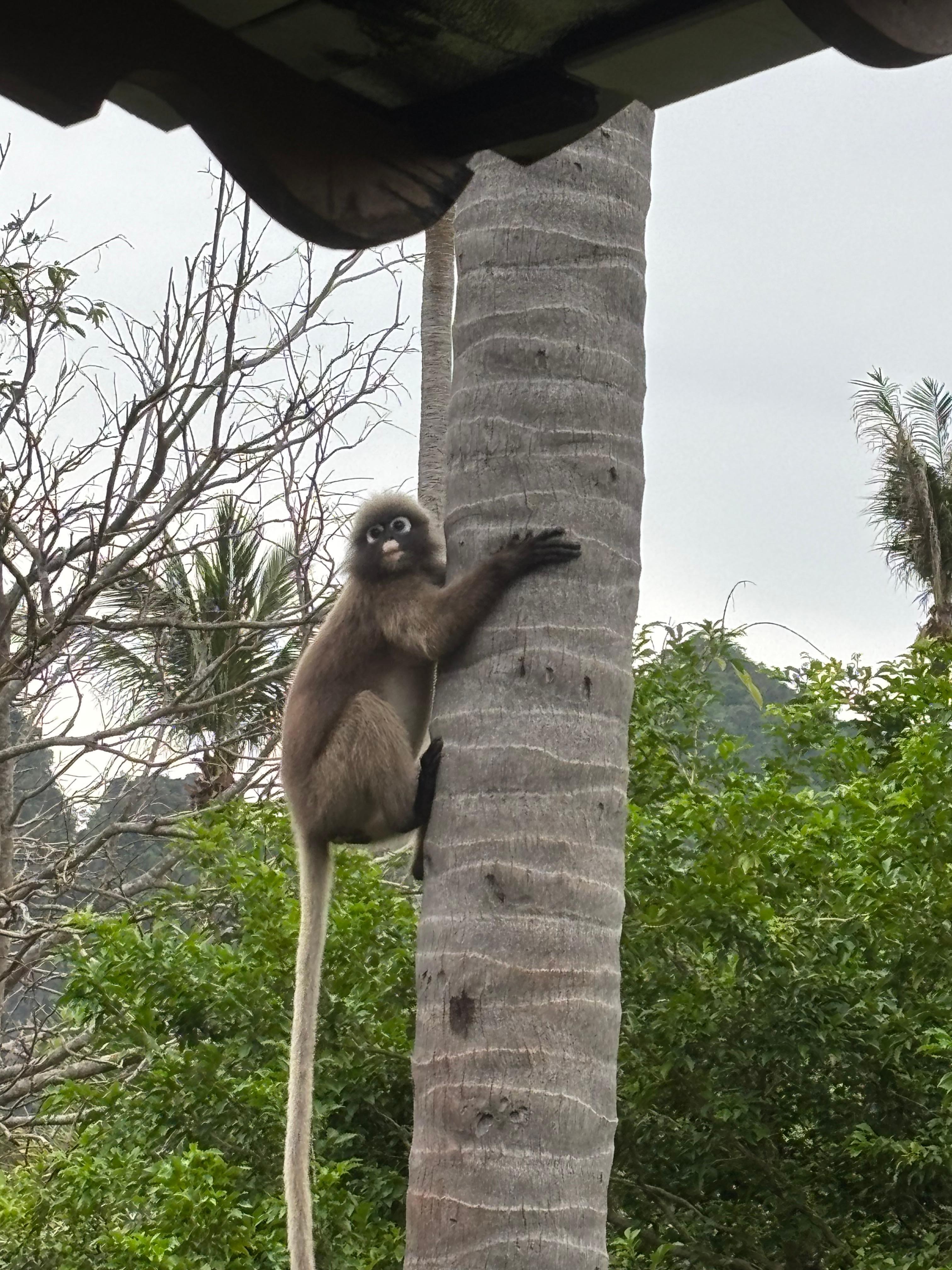 Taken from our Balcony 