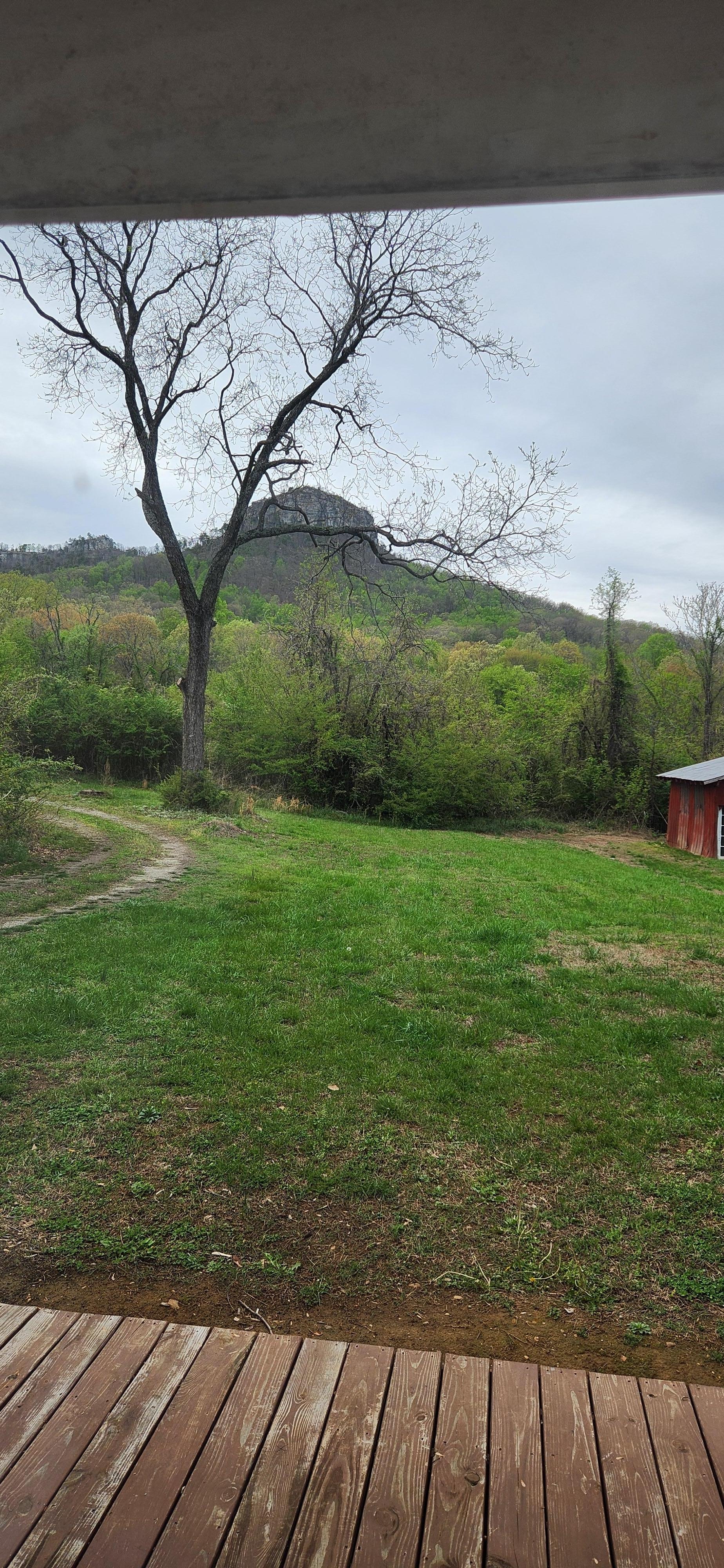 The view from the back deck is incredible 
