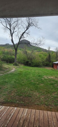 The view from the back deck is incredible