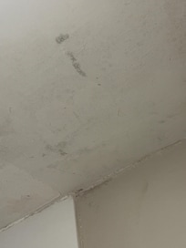 Filthy walls