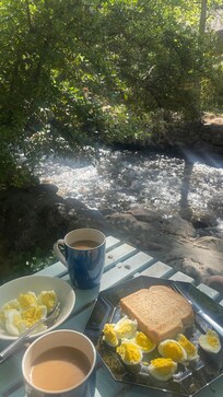 Breakfast by the water, right outside the back door.