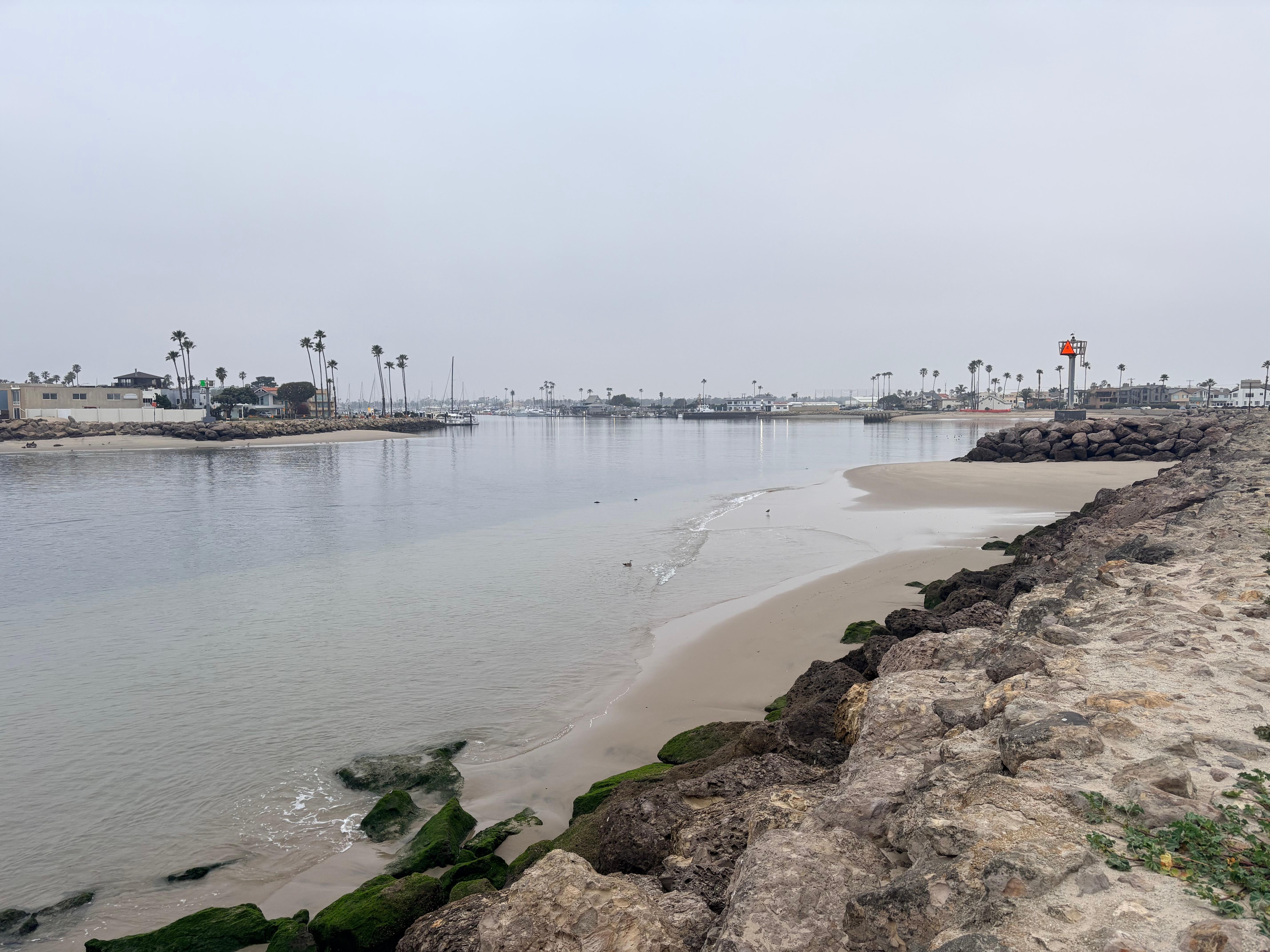 Morning walk with our pets, just a few blocks away.