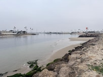 Morning walk with our pets, just a few blocks away.