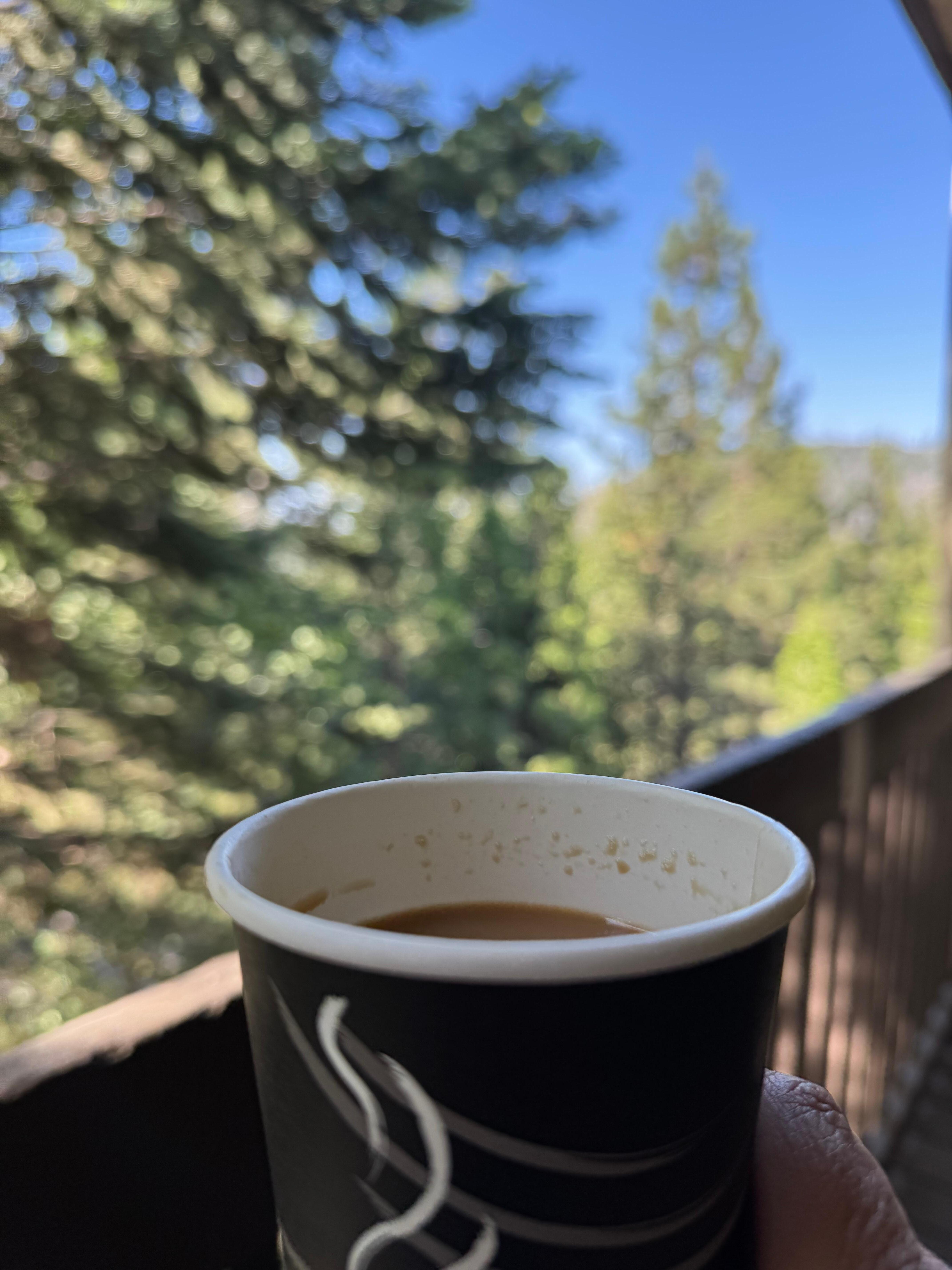 My morning coffee view. 