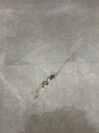 Bathroom floor - hole so soft that underneath is almost rotted through