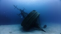 Amazing diving