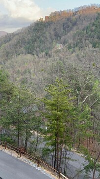 Mountain View is Amazing!