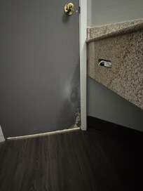 Paint is peeling off the door