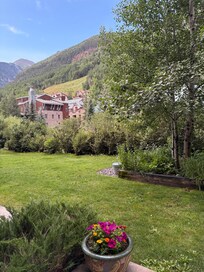 View from the back patio.