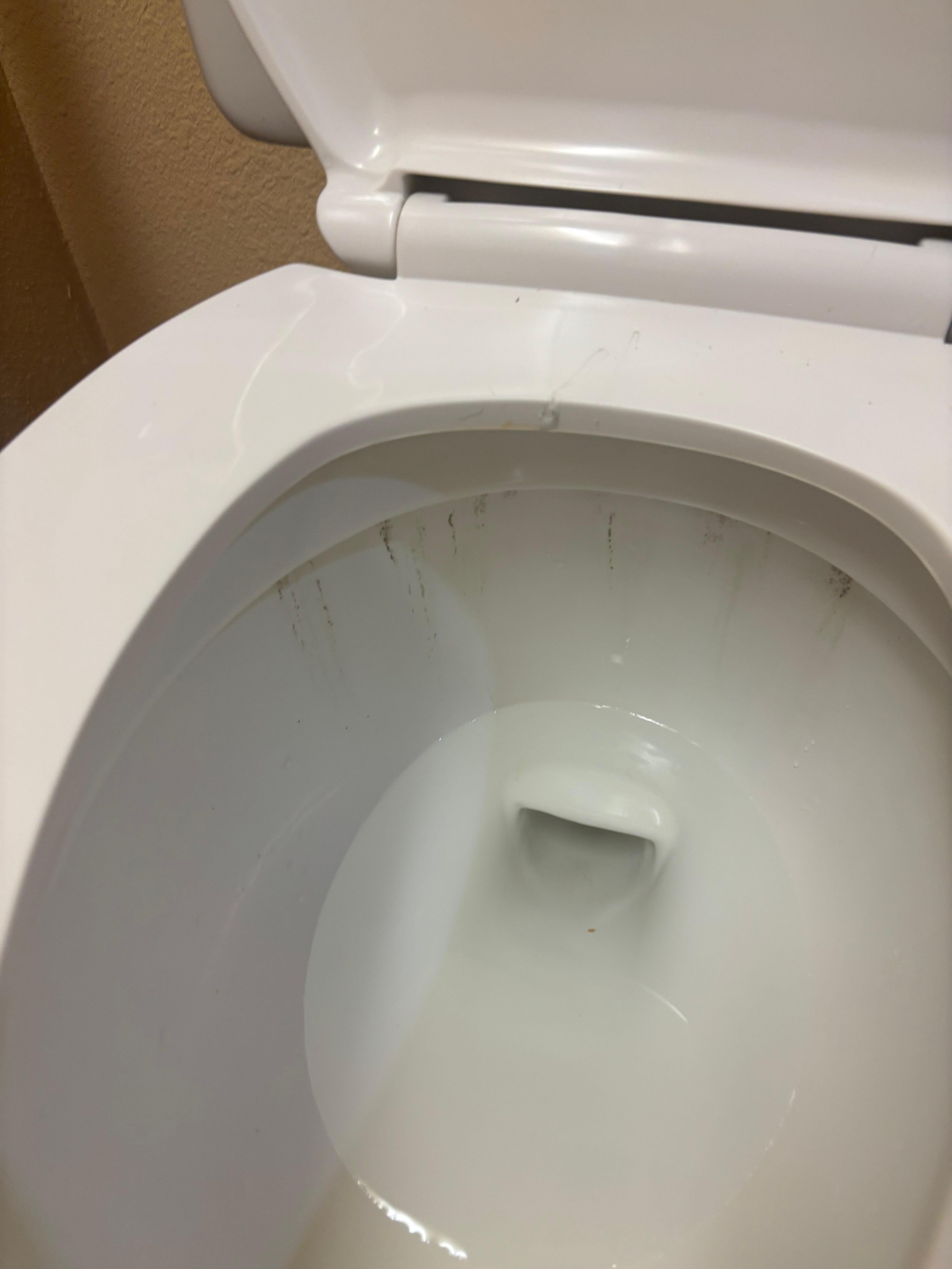 Toiler definitely not cleaned 