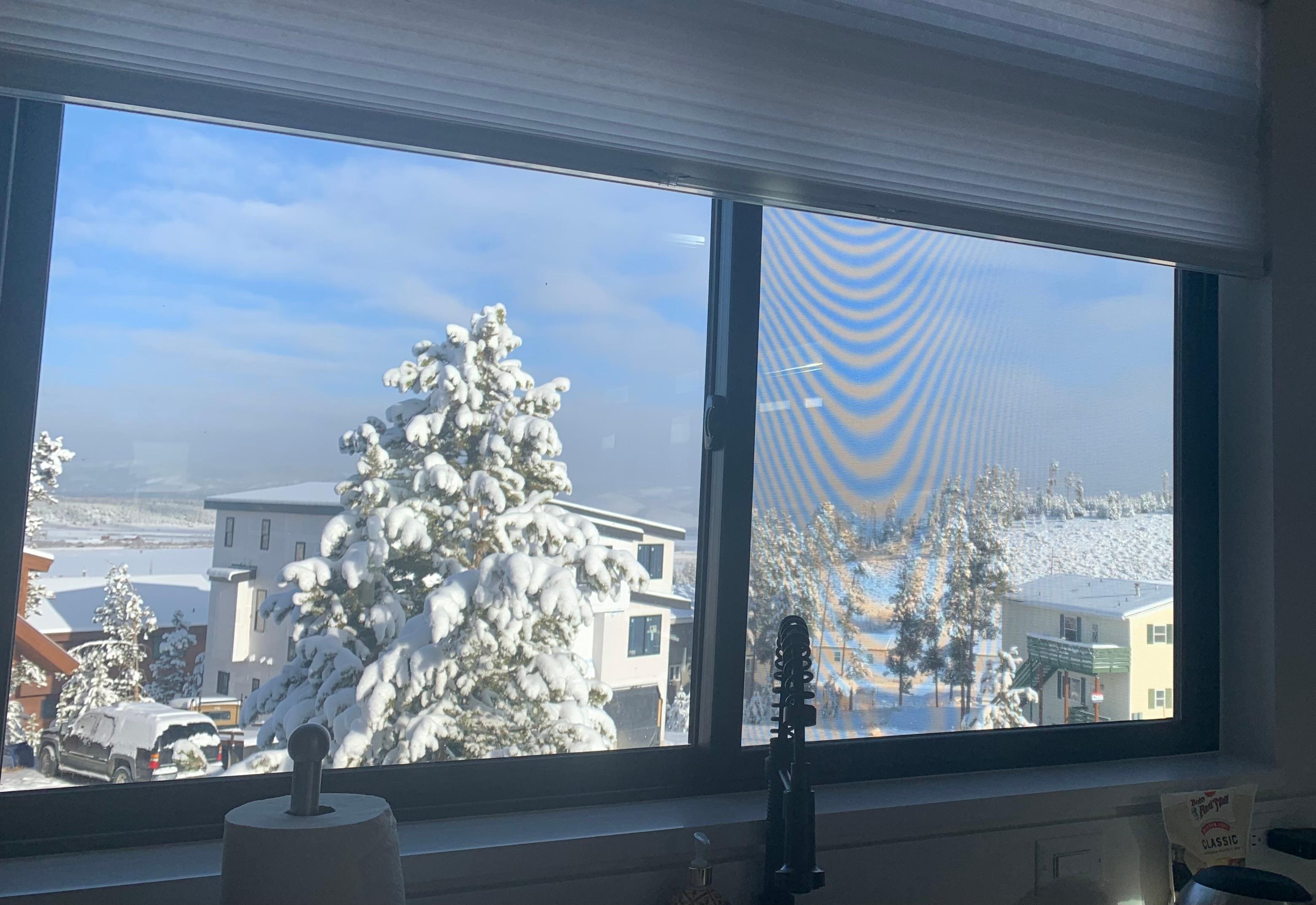 Beautiful snowy weekend!