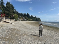 Beachcombing
