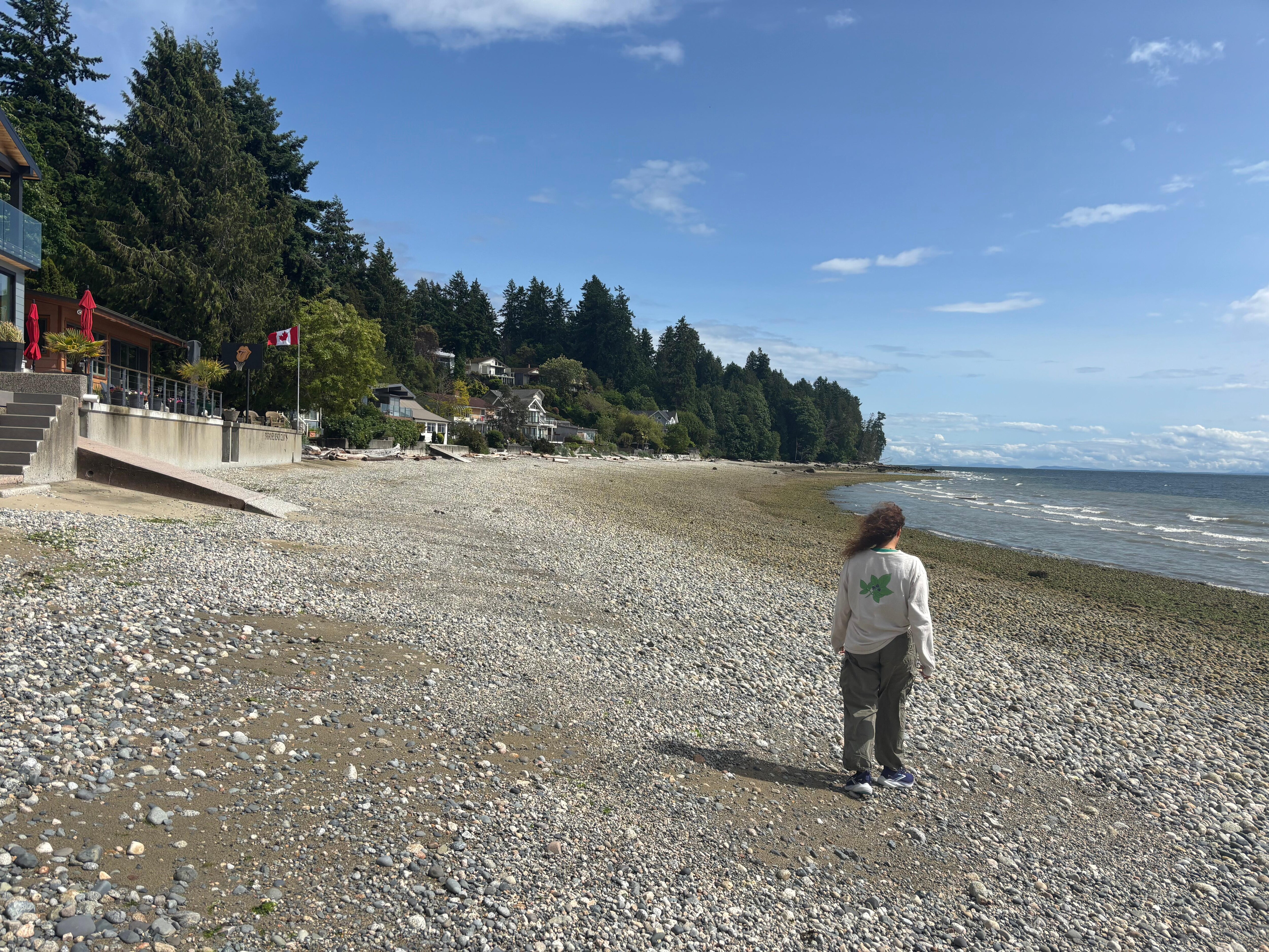 Beachcombing