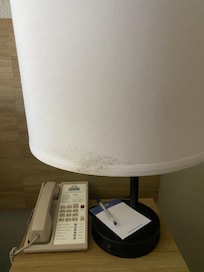 Mold on first lampshade