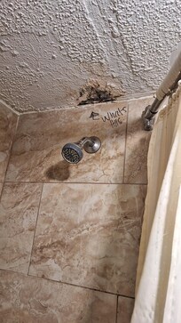 Well as you see someone before me wrote what's this. Black mold nasty af!