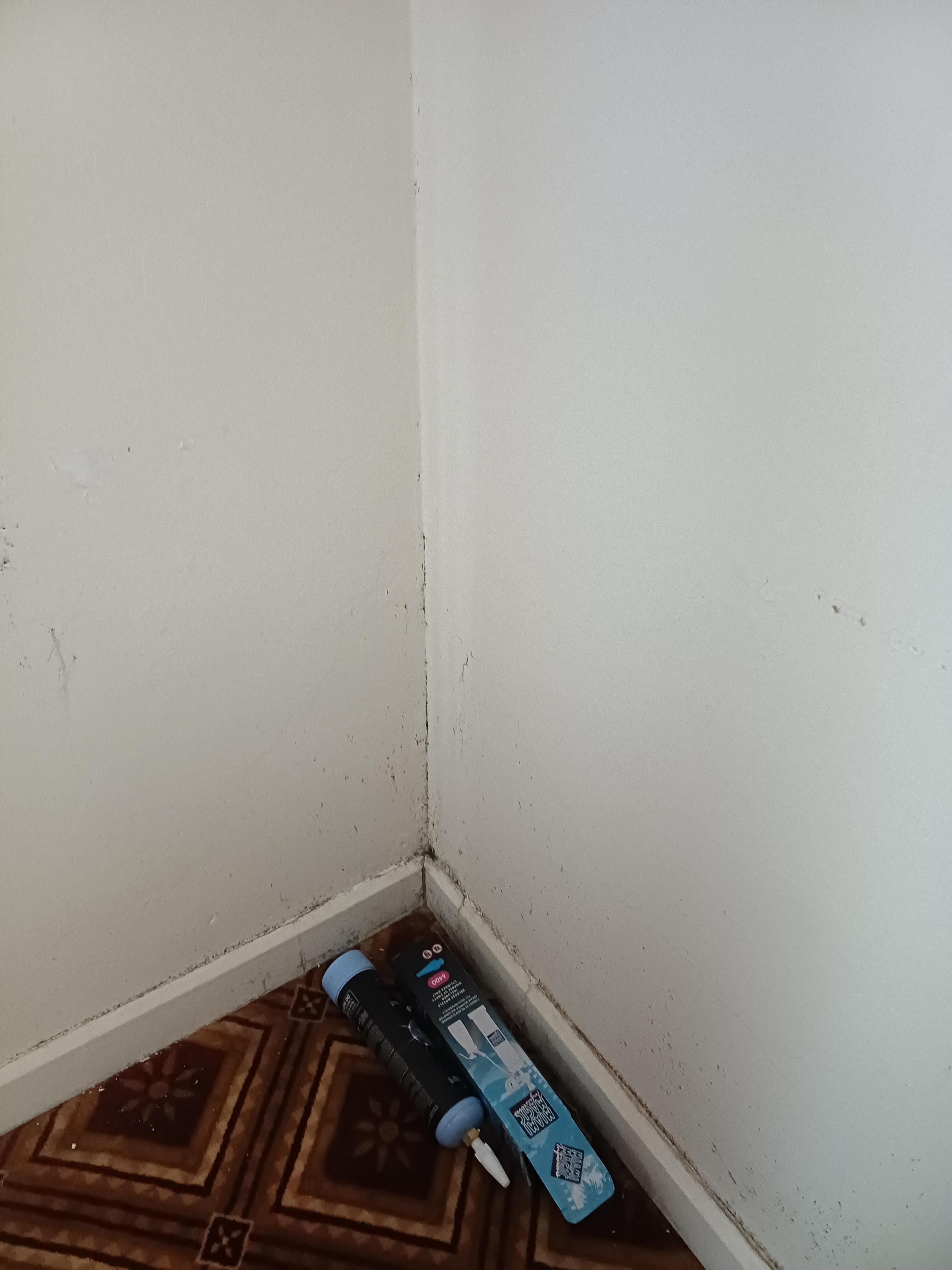 Tâches d'humidité au mur 