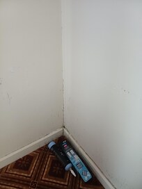 Tâches d'humidité au mur