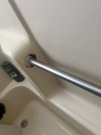 Black mold in the shower
