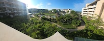 So many pool areas and greenery to enjoy.