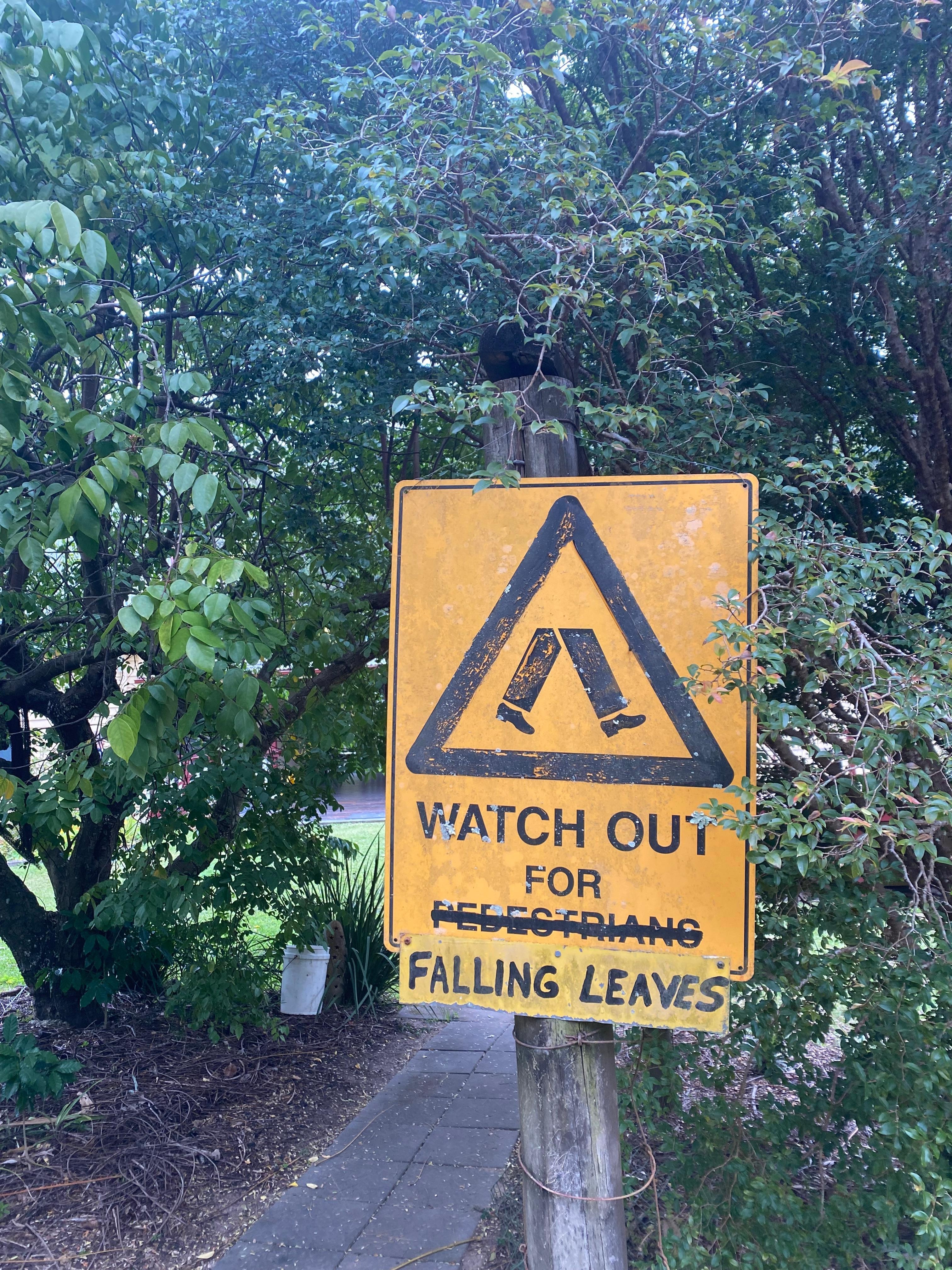 Love the garden signs! 