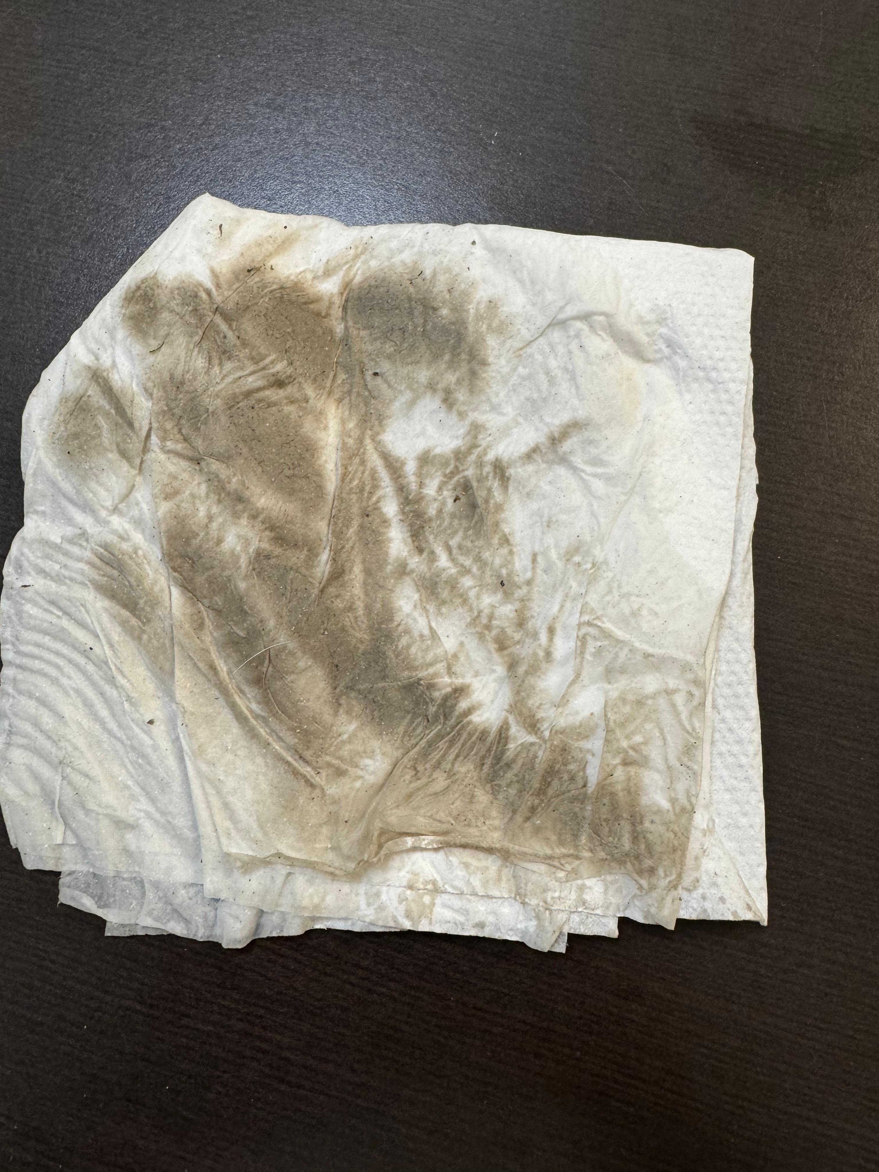 This was wiped with a wet paper towel. About 12 square inches 