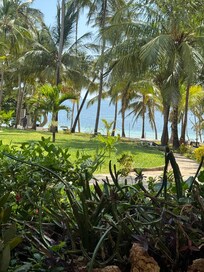 Beach view from restaurant