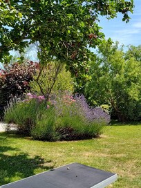 Toller Garten zum entspannen