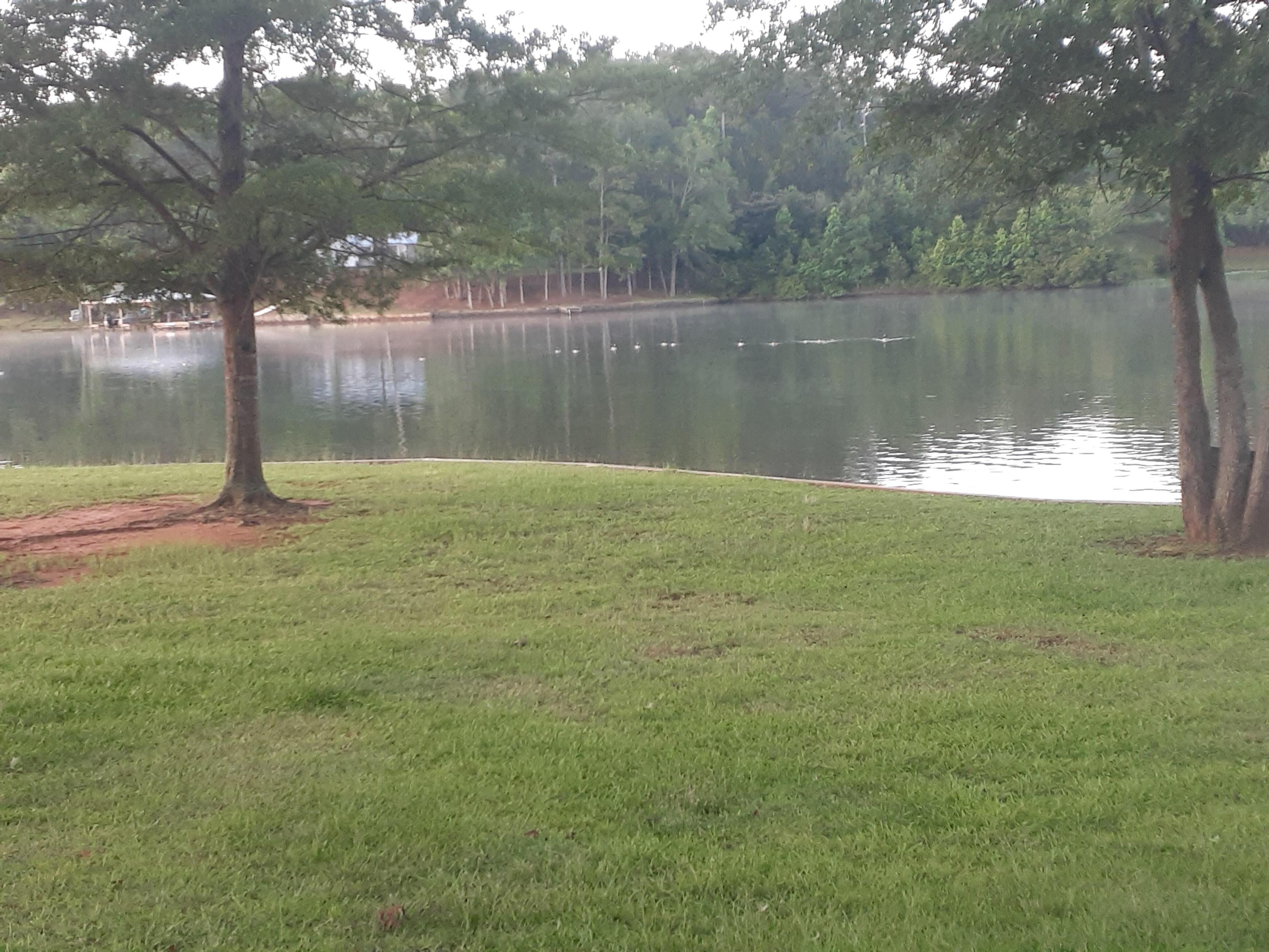 View from porch