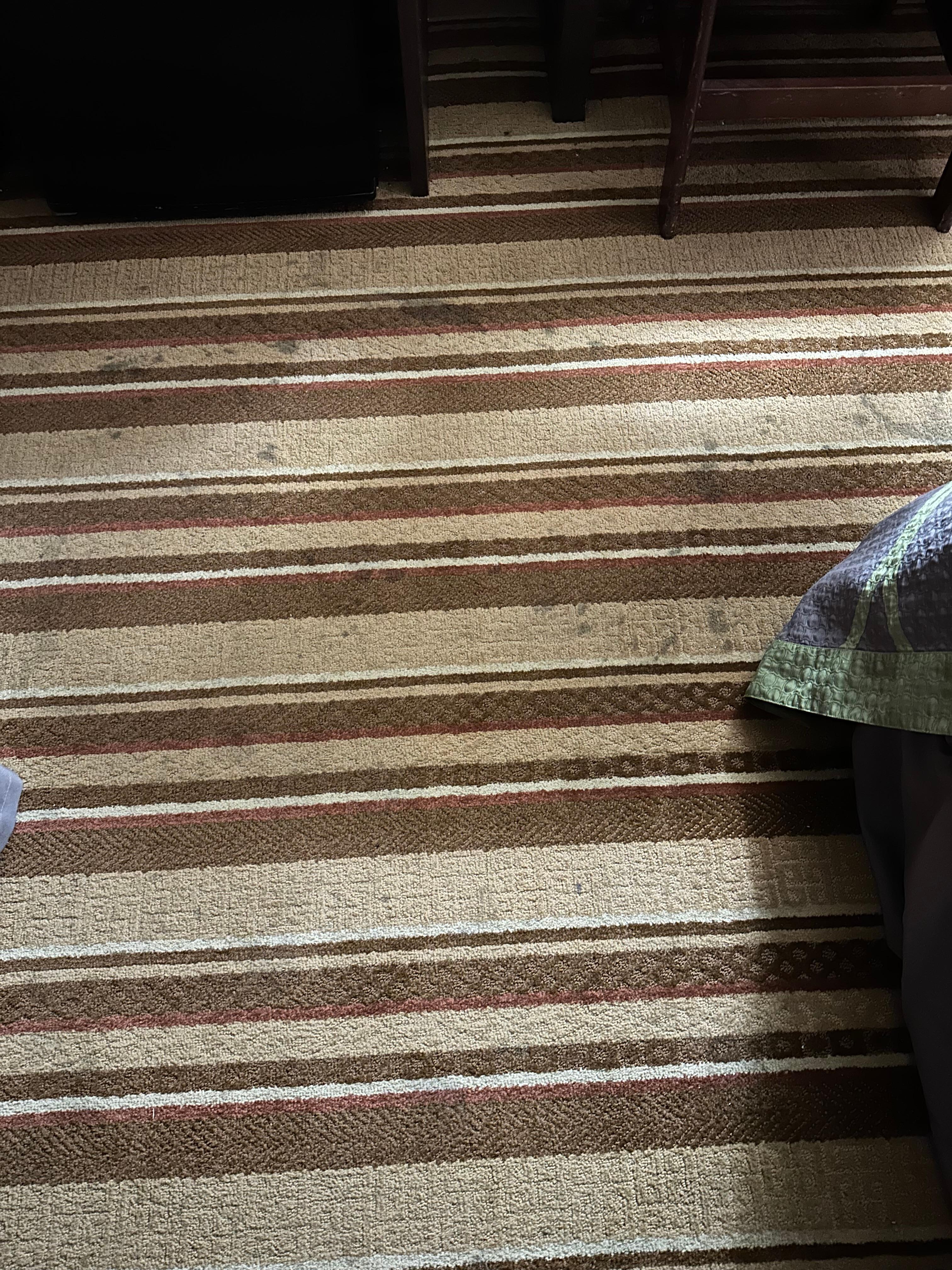 Dirty, stained carpets
