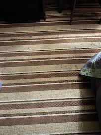 Dirty, stained carpets