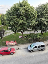 View from window