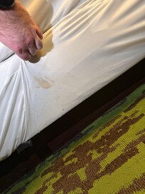 Bed bug nest/stains on bed lining!