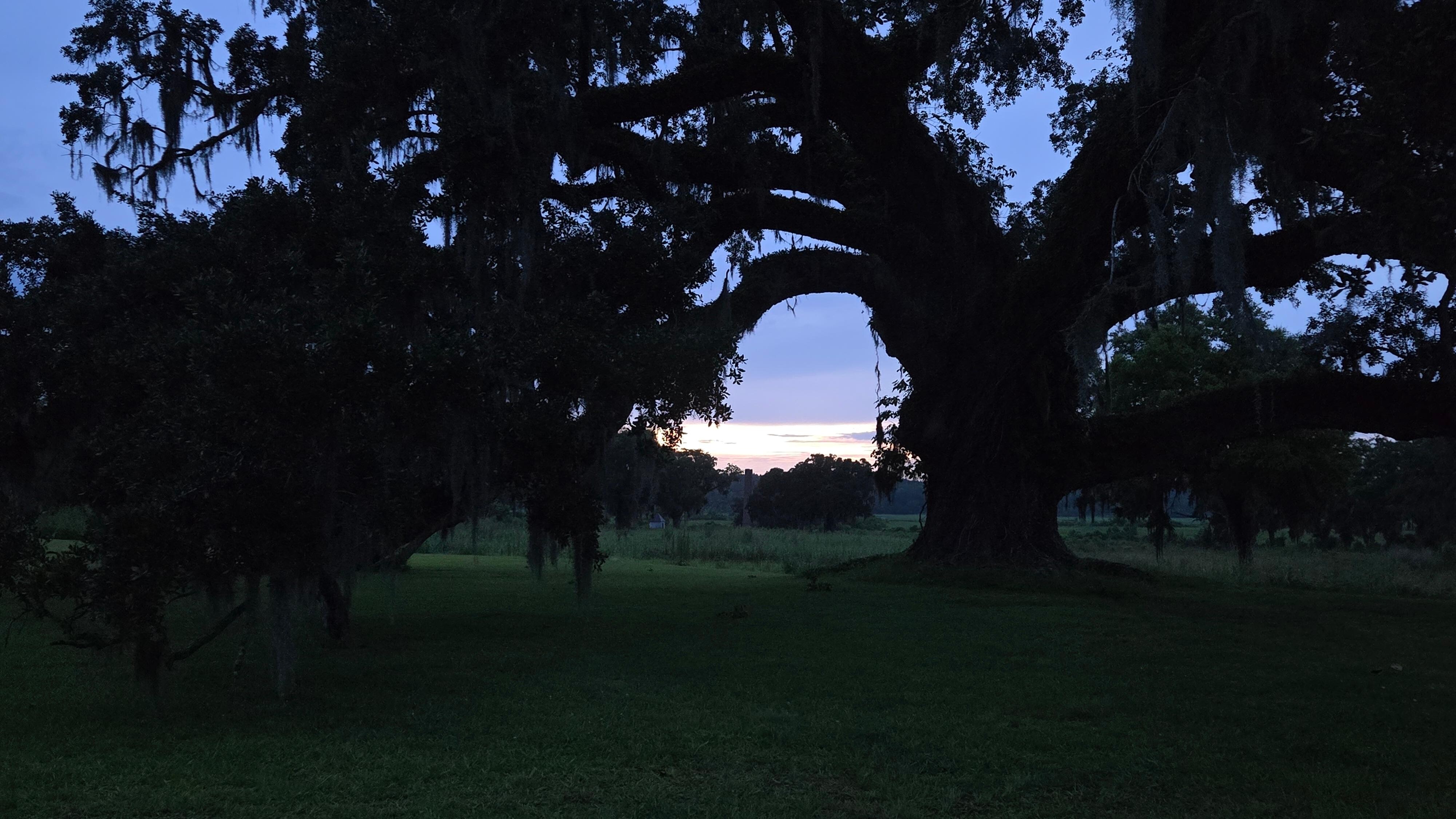 Evening toward the river