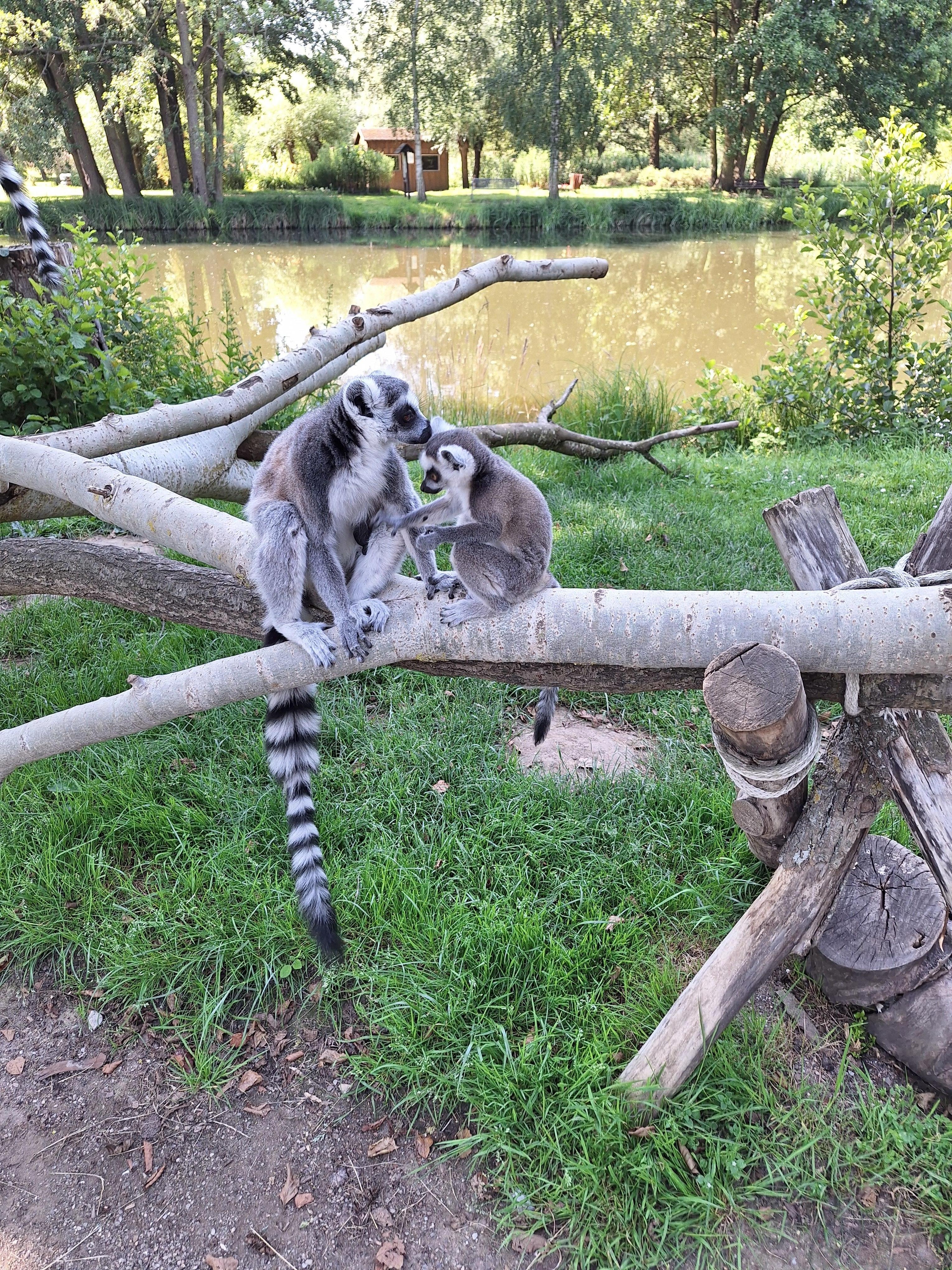Tierpark 