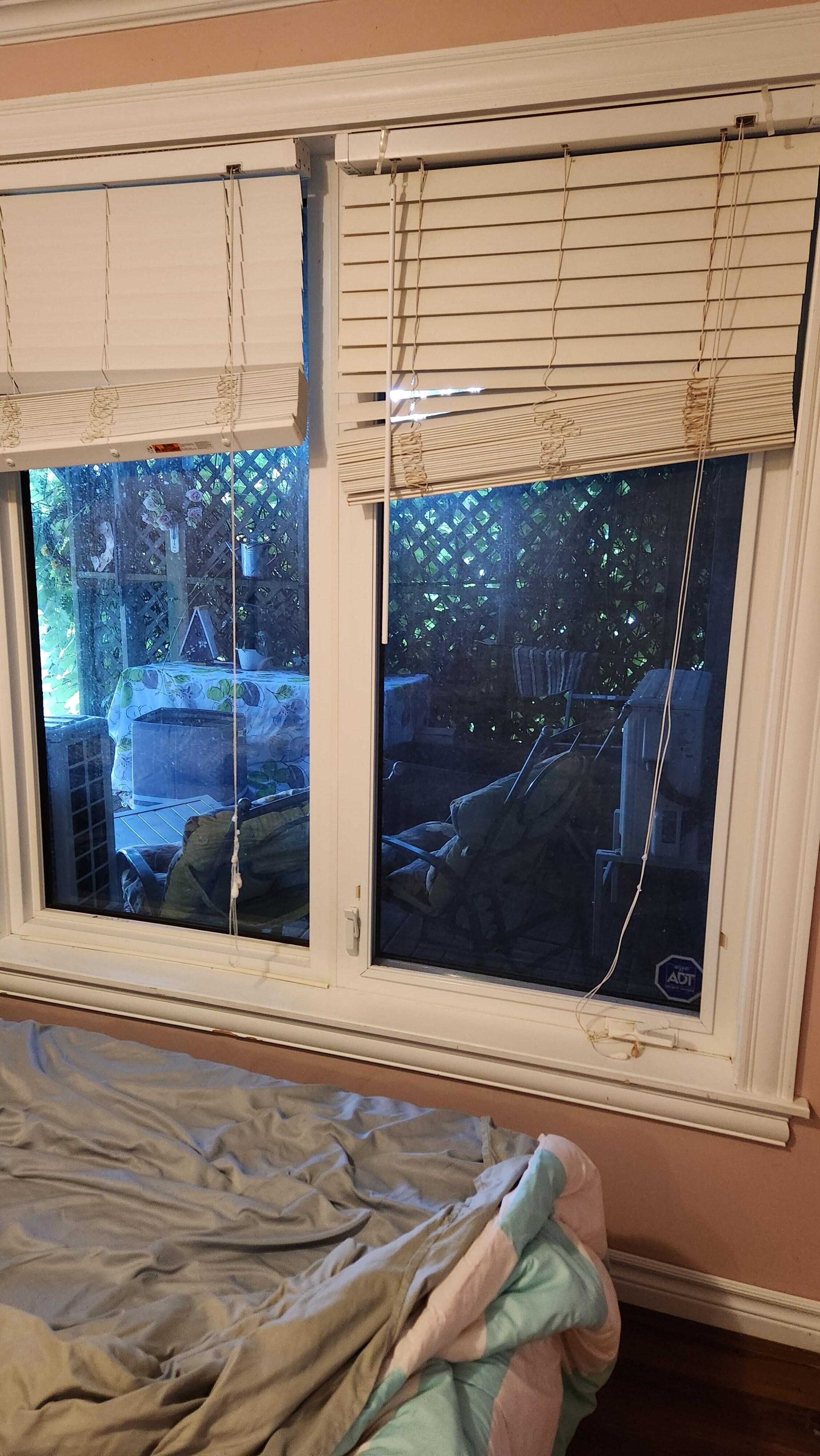 View from our window. This should have been cleaned up!