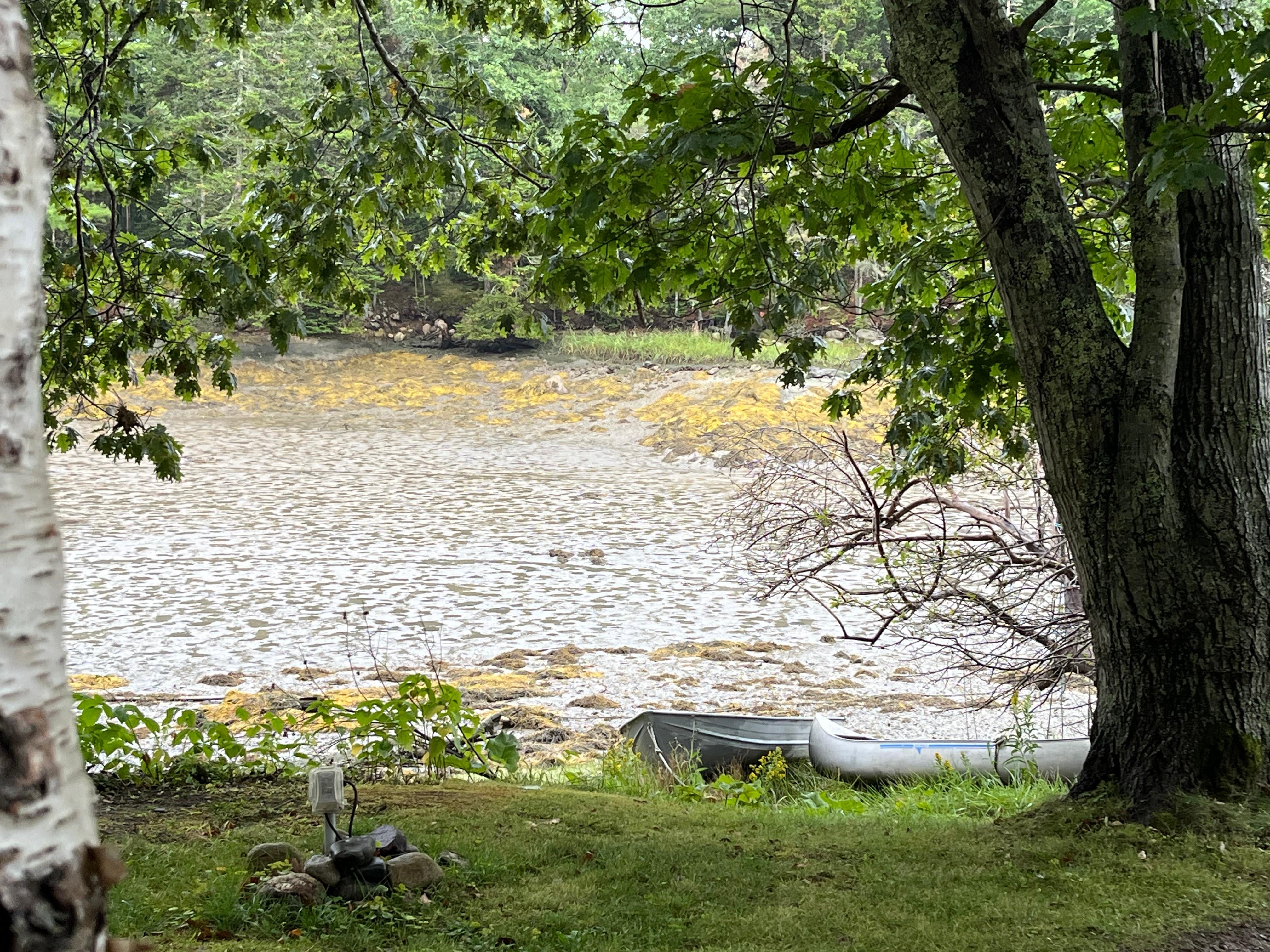 View from the side yard